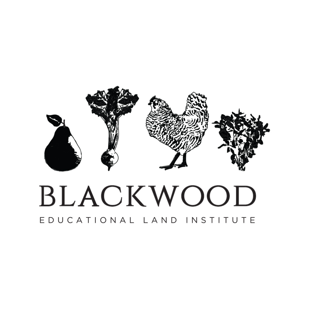 BLACKWOOD EDUCATIONAL INSTITUTE