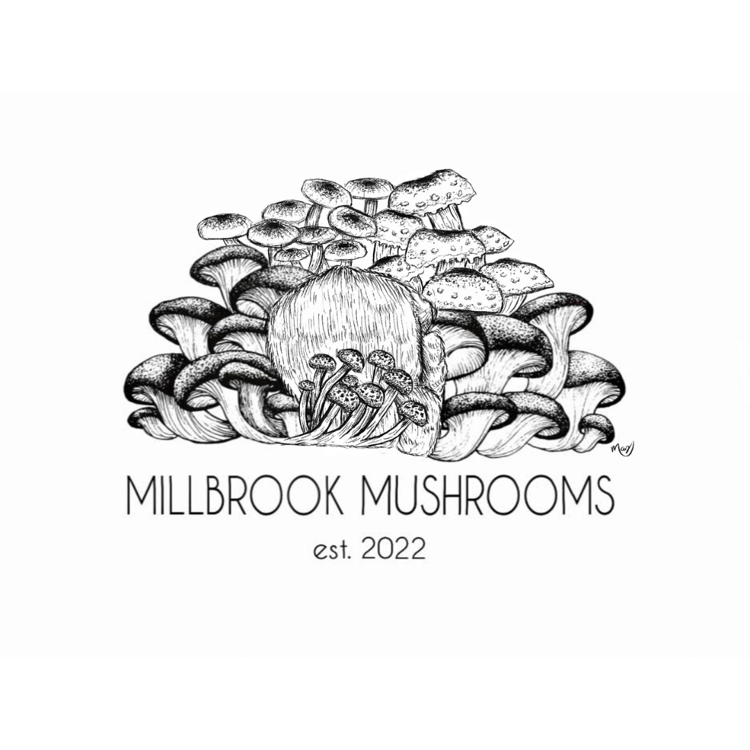 Millbrook Mushrooms